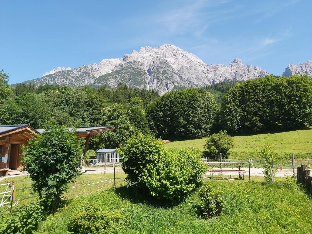 Ferienhof Millinghof Leogang Zewnętrze zdjęcie