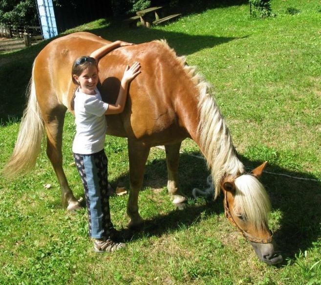 Ferienhof Millinghof Leogang Zewnętrze zdjęcie